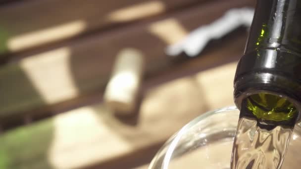Zpomalený pohyb víno se nalije do skleněné láhve — Stock video
