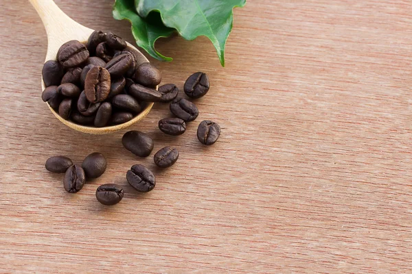 Close up grãos de café em colher de madeira e folha verde fresca — Fotografia de Stock