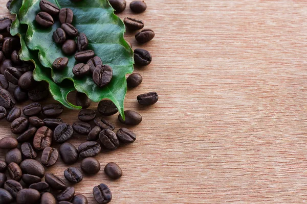 Close up grãos de café e folha verde fresca — Fotografia de Stock