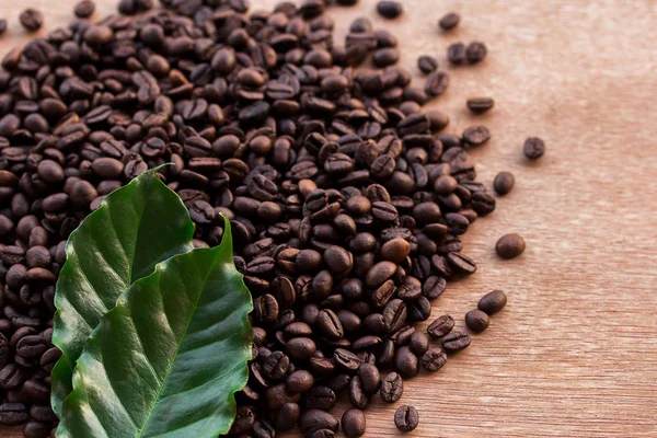 Close up grãos de café e folha verde fresca — Fotografia de Stock