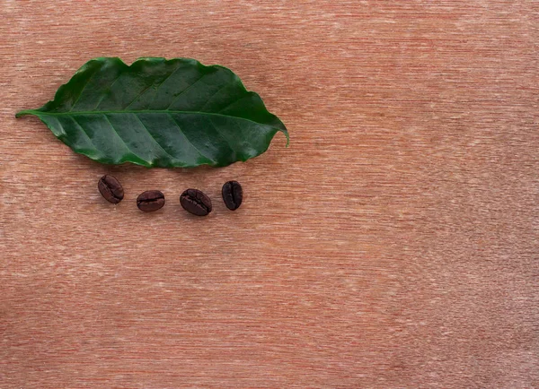 Крупним планом кавові зерна і свіжий зелений лист — стокове фото