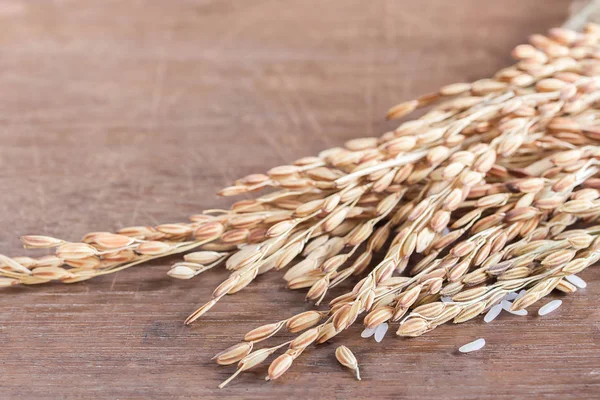 Riz de blé ou de paddy sur table en bois avec espace de copie — Photo