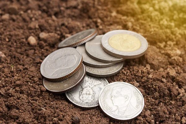 Moneda en el suelo con luz solar y espacio para el diseño . —  Fotos de Stock