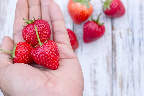 holding fresh strawberry in hands