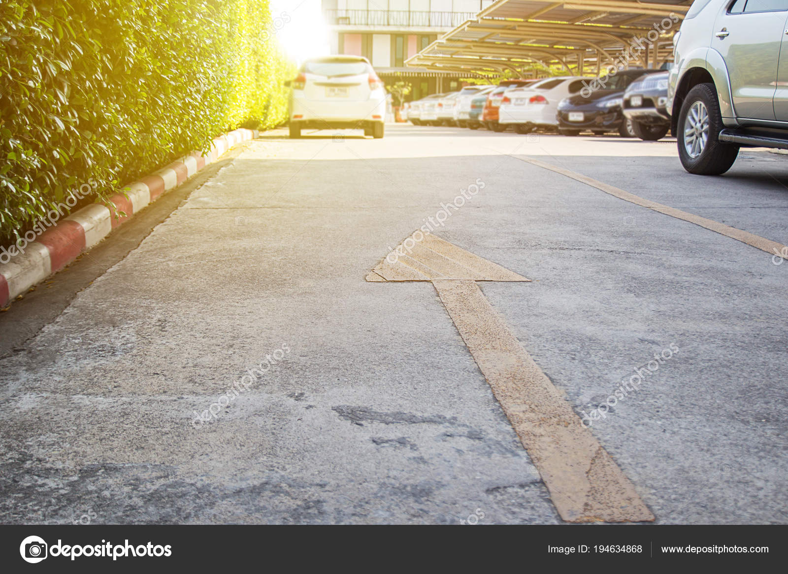 Decorative Garden On A Cement Floor Stock Photo C Rutchapong