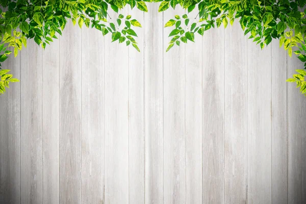 Gamla grunge vit naturliga trä vägg textur och bakgrund — Stockfoto