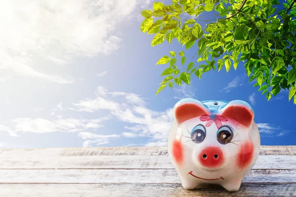 Rosa Sparschwein lag auf einem Holzboden mit frischem Laub und Beau — Stockfoto