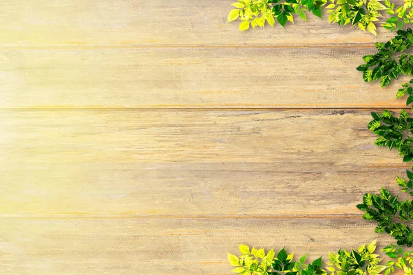 Bovenaanzicht groene bladeren op de oude houten achtergrond — Stockfoto