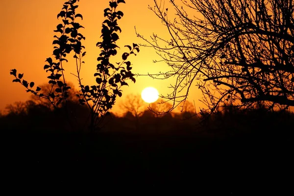 Romantischer Sonnenaufgang Schöner Natur — Stockfoto