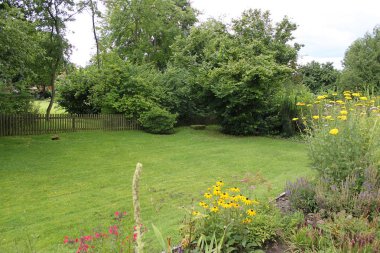 Çiçekli güzel yeşil bahçe