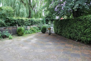 Parkın güzel manzarası.