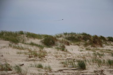 güzel dunes adlı Almanya Kuzey Denizi
