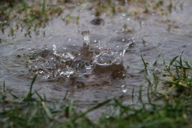 Bahçedeki su birikintisine yağmur yağıyor.