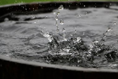 Yağmur, bahçedeki su dolu bir varile düşüyor.