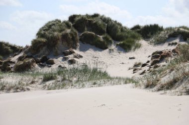 güzel kumulları, Almanya Kuzey Denizi