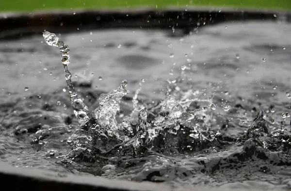 Lluvia Cae Barril Madera Lleno Agua Jardín —  Fotos de Stock