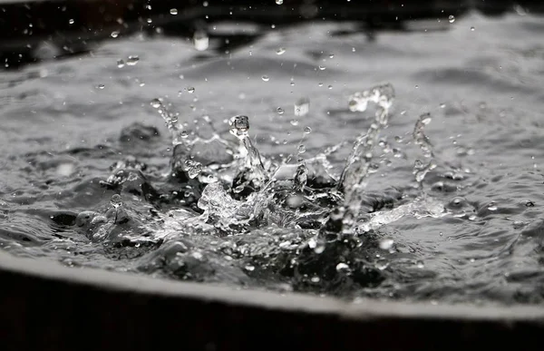 Дощ Падає Дерев Яну Бочку Наповнену Водою Саду — стокове фото