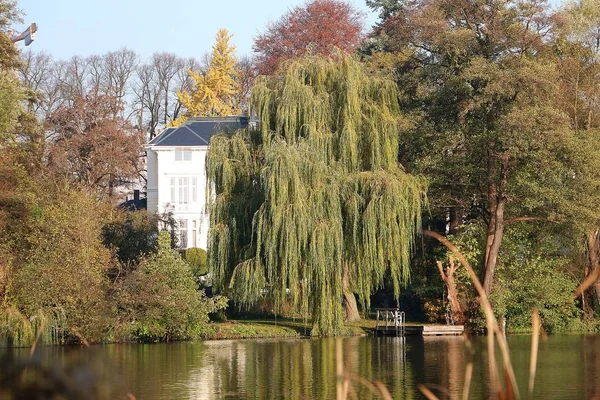 Large Pretty White Villa Stands Lake Large Weeping Willow — ストック写真