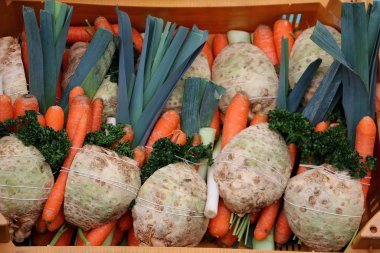 Bağlı taze çorba, pırasa, kereviz kökü ve maydanoz.