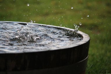 Yağmur, bahçedeki su dolu bir varile düşüyor.