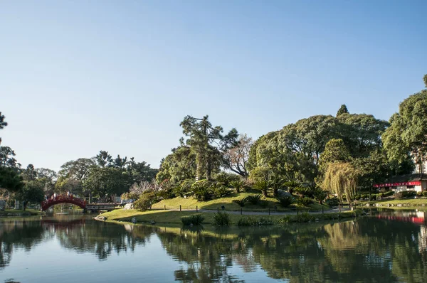 Gölde sabah yeşil bahçe
