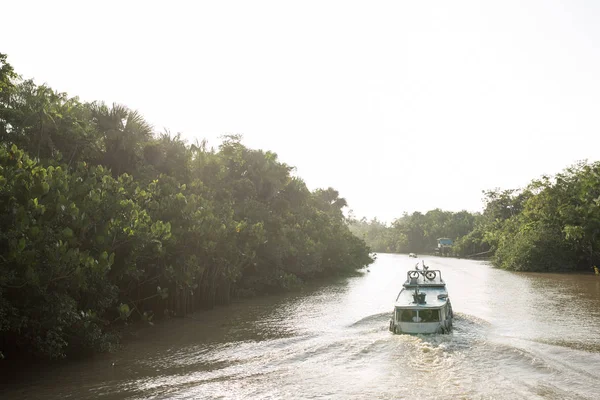 Amazon Nehrinde Yelken Tekne Stok Resim