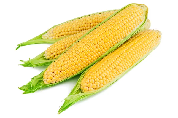 Heap Ripe Corn White Background — Stock Photo, Image