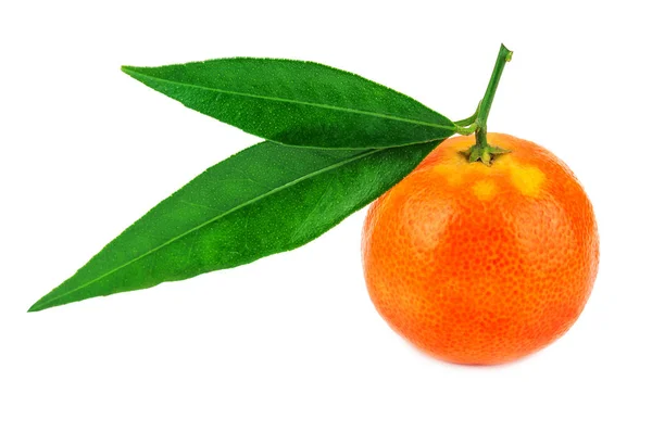 Saftige Und Reife Mandarine Mit Grünen Blättern Auf Weißem Hintergrund — Stockfoto