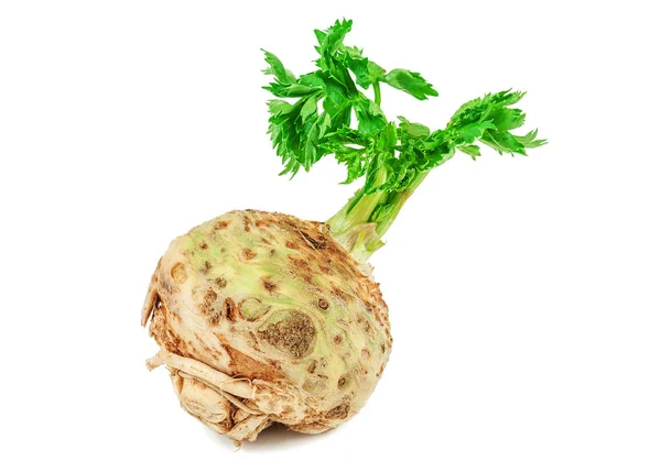Raw Celery Root White Background — Stock Photo, Image
