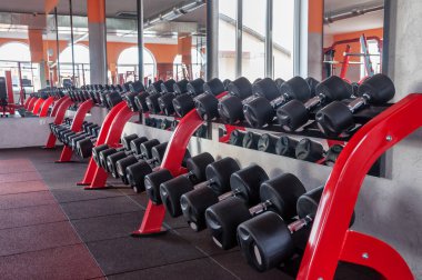 Salonda bir sıra dambıl var.