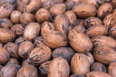 Lezzetli ceviz gibi.