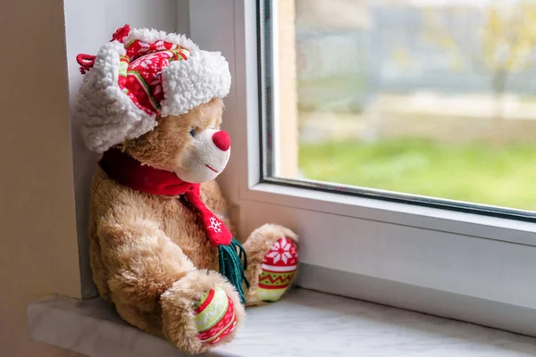 christmas teddy bear looking through a window