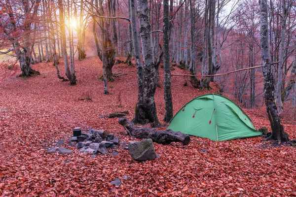 green tent in forest in red autumn forest