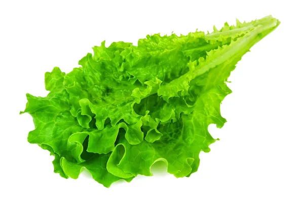 Healthy Green Lettuce White Background — Stock Photo, Image