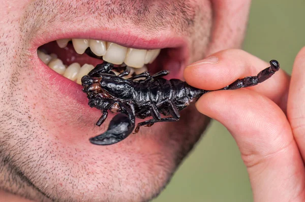 おいしい揚げスコーピオンを食べる男 — ストック写真