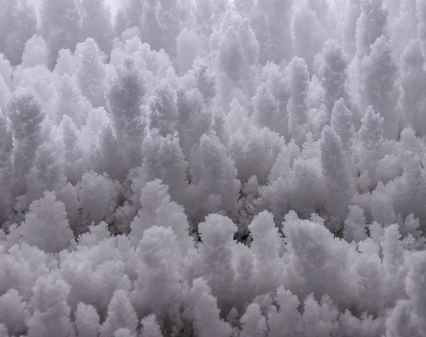 Пухнастий Снігопад Текстура — стокове фото