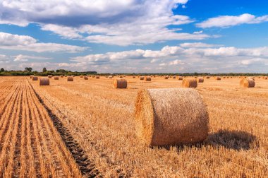tarlada kuru saman balyaları. Bulutlu sonbahar manzarası