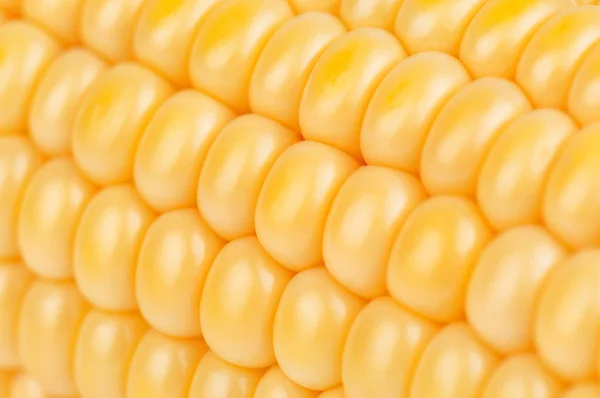 Érett Finom Kukorica Mint Egy Textúra — Stock Fotó