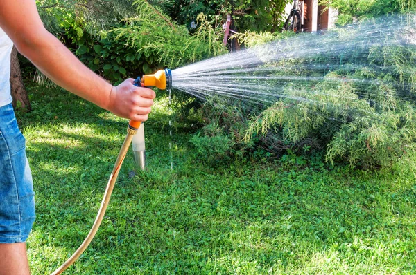 man watering the grass with hose