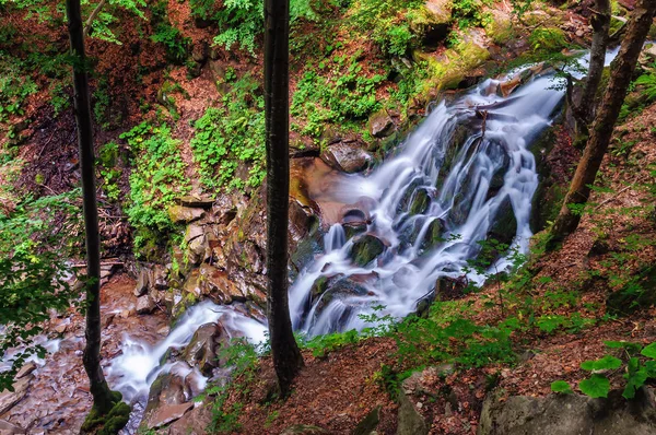 春の森で美しい滝 — ストック写真