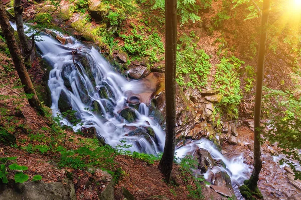 春の森で美しい滝 — ストック写真