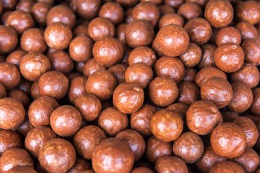 Olgun makadamia fındık bir doku olarak