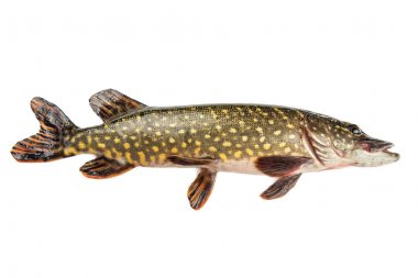 ham pike izole