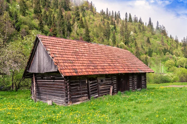 Starý Opuštěný Dům Pokrytá Dlaždic Zelené Trávě Lesa — Stock fotografie