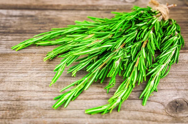 Weelderige en groene rozemarijn — Stockfoto