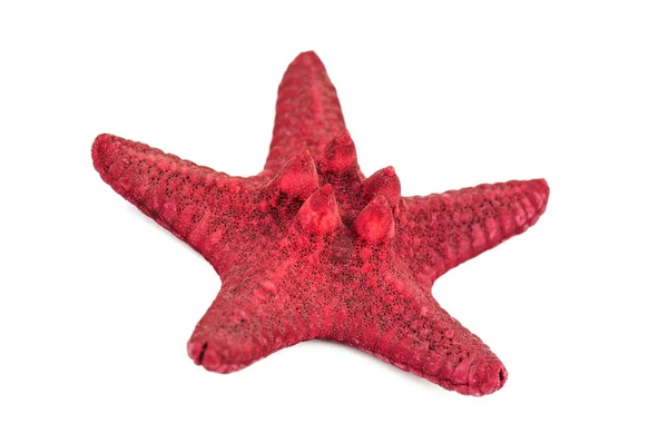 Estrella roja del mar — Foto de Stock