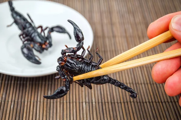 Escorpión negro frito — Foto de Stock