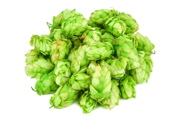 Haufen mit üppigem Hopfen — Stockfoto