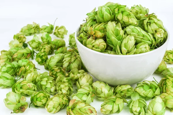 Lush hop in white bowl — Stock Photo, Image