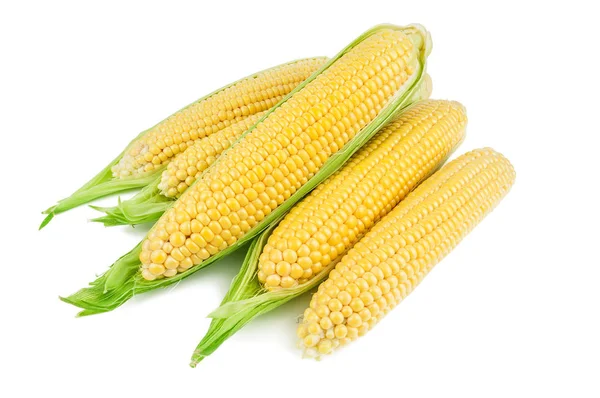 Ripe corn (maize) on white — Stock Photo, Image